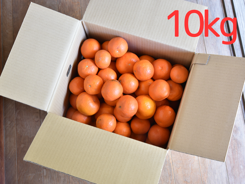 濃厚果汁がたっぷり！　セミノール【家庭用(訳あり)】[5kg]　319-3