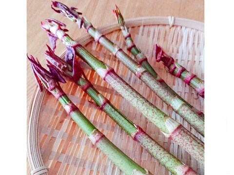 天然山菜【いたどり】国産 1㎏ 煮物 炒め物 きんぴら 天ぷら等で 山形産《予約受付》