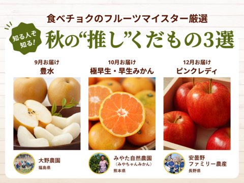 【食べチョク旬の食べ比べ便】ピンクレディ（りんご）