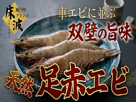 🦐市場に滅多に出ない幻級天然海老🦐濃密甘味の極希少『足赤エビ』約500g長州床波ブランド【9月中旬予約】