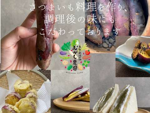 有機JAS認証野菜 さつまいも ご家庭用 サイズ混合 5kg