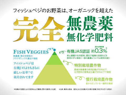 新鮮！採れたて！農薬・化学肥料不使用！レタスの定期便 8個セット