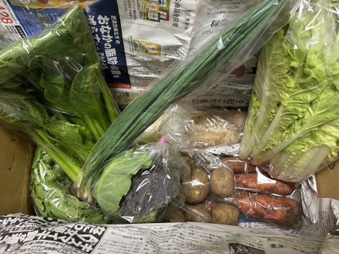 【おまかせ】オーガニック野菜セット(6品)