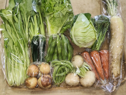 【10日分の野菜！】旬の野菜セット10～12品【農薬・化学肥料不使用】
