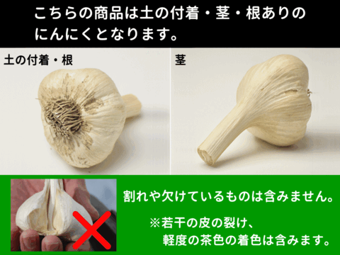 新物！ 鮮度抜群！「津軽にんにく」M-Lサイズ混合 訳あり 1kg