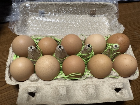 🉐青空飼育【富士の極卵】4種類の純国産鶏40個食べくらべ