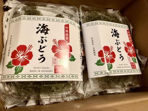 【生産者直送】お試し海ぶどう！100g×2P