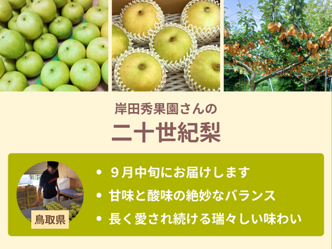 【売り切れ】【限定200セット】梨の食べ比べ便（食べチョク公式）