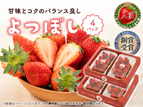 4パック｜甘味とコクのバランス良し！鮮やかな赤色いちごのよつぼし 合計1kg！