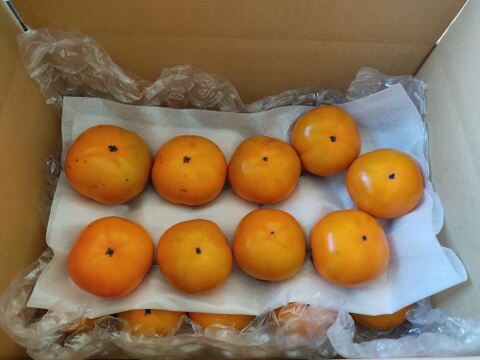 ✨【甘柿（富有柿）】2.8kg（23～30玉）　農薬肥料不使用の自然栽培✨