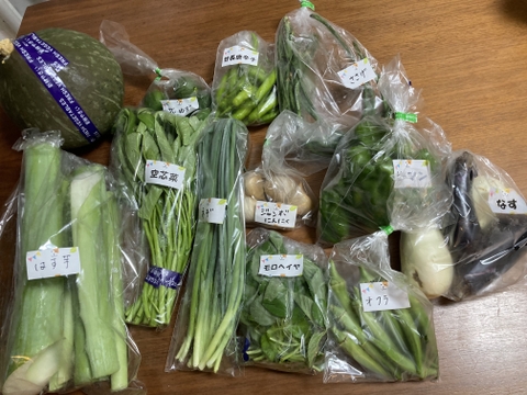 【数量限定】お得いっぱい！秋野菜詰め合わせ箱☆🥗🍠🥦＋さつまいも付き🍠