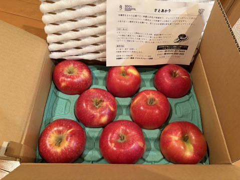 終わります🍎【幻の林檎】さとあかり 3キロ箱 6玉〜15玉サイズ商品ID47897 長野県 信州 安曇野 リンゴ 幻 幻のリンゴ 予約 希少 旬