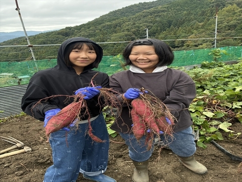 年末年始のおもてなしに超豪華セット５０００円コース
農家人ではなく「お客様」が選ぶ旬野菜のおまかせセットです。
食べた人にしか解らない感動をお届けします。
田口農園徳島の総力を挙げた商品です