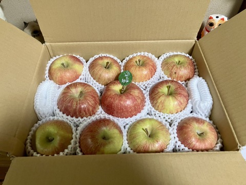 【冬ギフト】 🍎レビュー数1700件突破！！《家庭用》青森完熟葉とらずふじ８〜１２玉(約３kg)🍎ID119812