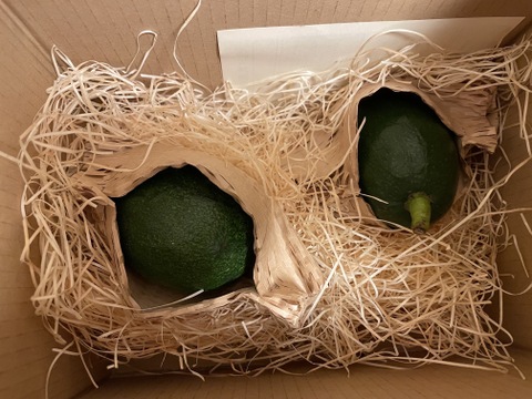 国産アボカド「ベーコン」２個・濃厚クリーミー