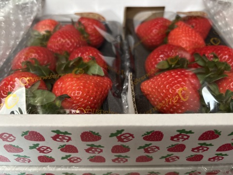 あまりん 7粒～15粒 4パック