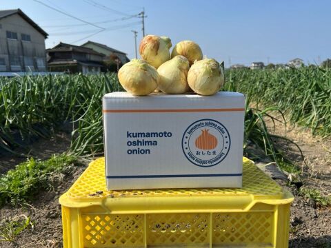 生で食べても甘い！と評判の新玉ねぎ『おしたま』5kg    ２Ｌサイズ