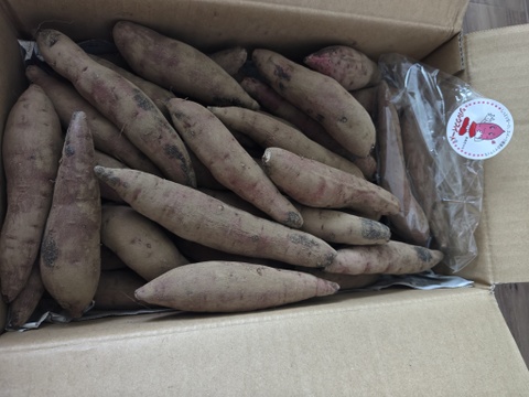 欲しかった❣️チビッコさつまいも🍠(紅はるか3kg)