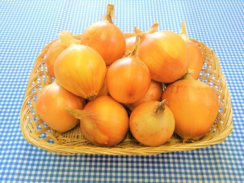 Af様専用】♥赤たまねぎ3kg・黄たまねぎ5kg♥:青森県産の玉ねぎ|食べ