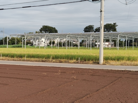 ⚫艶々、ピカピカの銀シャリ！特別栽培米の新米5kg、埼玉県産コシヒカリをご賞味下さい。