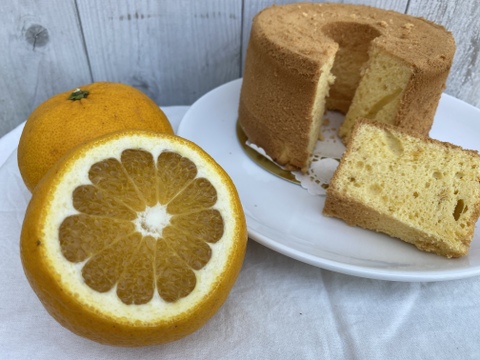 新作 シフォンケーキ 1ホール 甘夏 愛知県産 食べチョク 農家 漁師の産直ネット通販 旬の食材を生産者直送