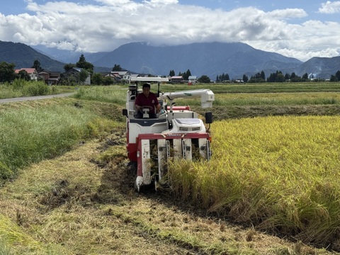 【R7年産新米】甘みと香りが広がる　南魚沼産コシヒカリ　5kg×2袋（玄米）