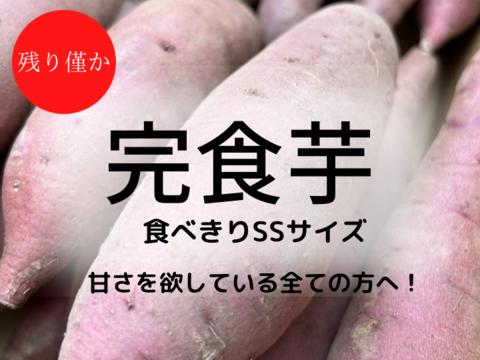 甘党さん集まれ〜！！さつまいも 紅はるか【 オヤツにピッタリSSサイズ 】２kg！山形県酒田市産 【無くなり次第終了】