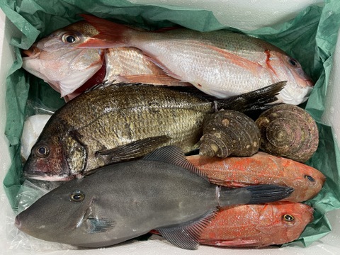 【数量限定】瀬戸内の鮮魚 2kg詰め合わせ！(3〜6種類)80サイズ
