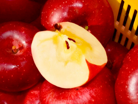 【2026年予約】『シナノホッペ』家庭用　甘くて硬い！ほっぺが落ちる美味しさ♡5kg