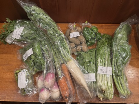 富士山麓  自然栽培野菜セット（なにもいれない）  ８品