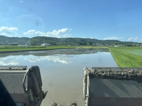 R7滋賀県みずかがみ精米5kg