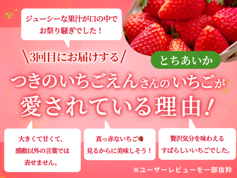 【限定100セット】特選スペシャルいちご便🍓（食べチョク公式）