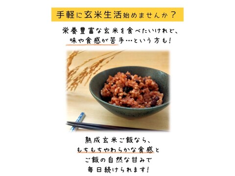 お家で簡単！【 熟成玄米ご飯（酵素玄米） 】手作りセット　3合パック×4個　新潟県弥彦村産コシヒカリ