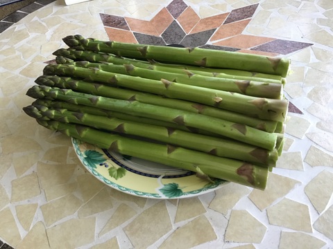 【予約受付開始】4月下旬～5月上旬発送★ Ｌ～2Ｌ極太サイズのアスパラガス1キロ　＼柔らかくて甘い／