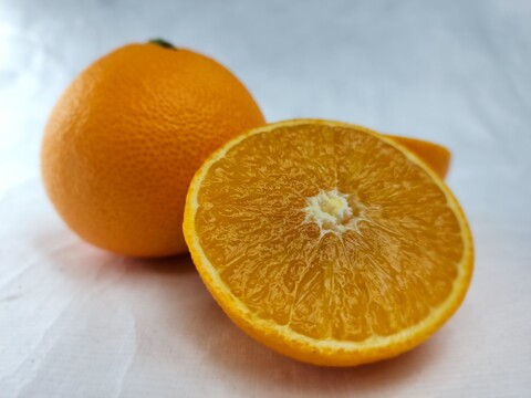 マニアが好む超小粒マドンナ　　箱込約2㌔