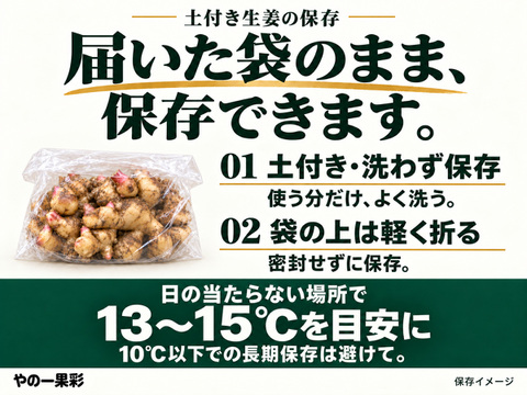 土付き新生姜1kg｜香る食卓、明日も笑顔｜高知県産｜11月5日から順次発送・先行予約｜やの一果彩