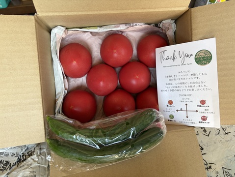 夏は、さっぱり。毎日の料理にたっぷり】赤熟もぎりの大玉『豊潤とまと