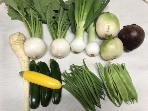 朝収穫 4品以上入る 野菜セット 5キロ