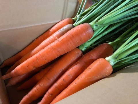 【甘みがギュッ‼️弊園一番人気🎶】自然栽培の冬にんじん 約5kg