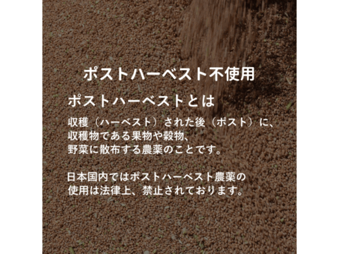 【栽培期間中農薬不散布】強力粉 2kg 青森県産単一品100％使用 日本の小麦 「ゆきちから」