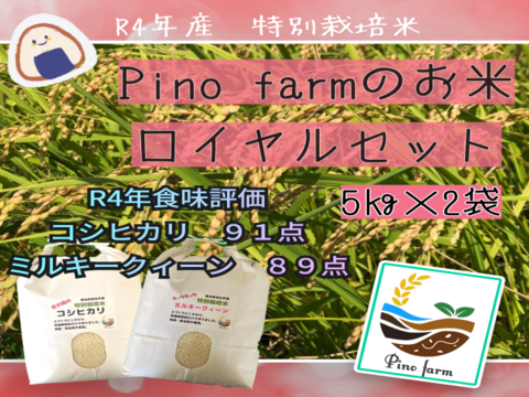 R4年産　Pino farmのお米　ロイヤルセット　【5㎏×2種】