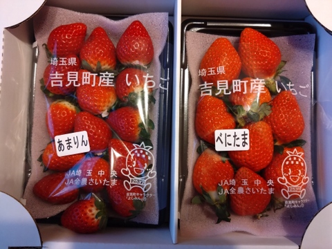 【あまりん・べにたま】食べ比べ２パック(500g)🍓