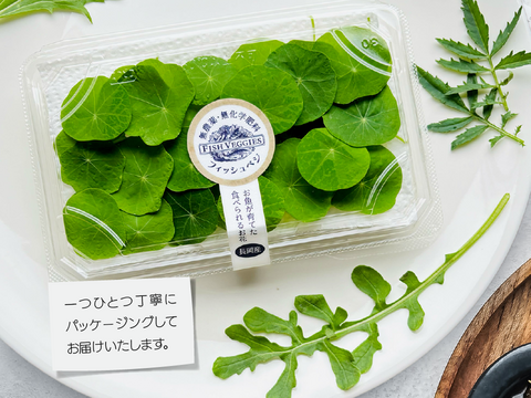 【FISH VEGGIES】ナスタチウムの葉 30枚程度　化学肥料/農薬不使用だから安心して食べられる