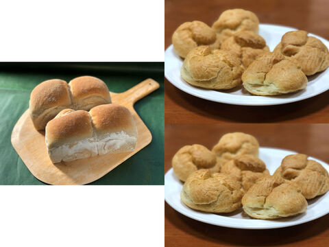 【超貴重な有機JAS認証パン】パンセット⑩+Sweets③×2:麦の栽培から一貫生産 自然栽培小麦のみ使用した有機JAS対応パンドミー2個+食べる人の健康を考えた有機JAS対応シュークリーム×12