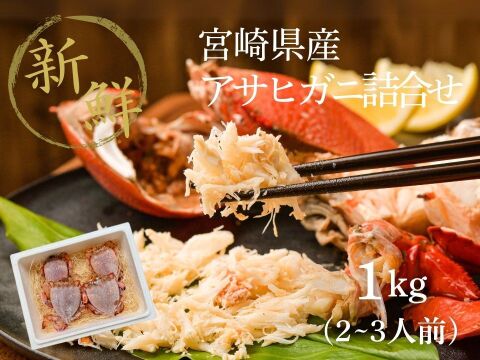 【希少ガニ】宮崎県産アサヒガニ［1kg］漁師直送・生冷凍