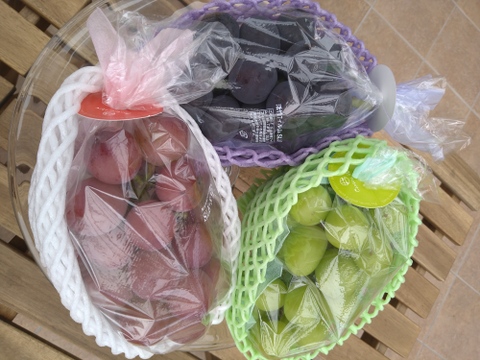 🍇天空ブランド人気トップ３食べ比べセット🍇今の時期しか食べられない幻の赤系葡萄・黒系葡萄・緑系葡萄食べ比べ3房約1kg