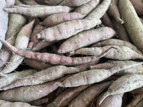 【訳あり】有機JAS認証さつまいも2kg