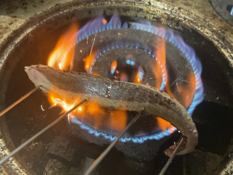 【秋の旨魚】迷いスマカツオ/ヤイト/ホシガツオ/1尾/1kg前後/3枚おろし【冷凍】