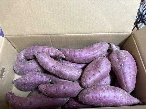 ねっとり極蜜！あま〜いサツマイモ鹿児島県産紅はるか（箱込み５kg）☆サイズ混合