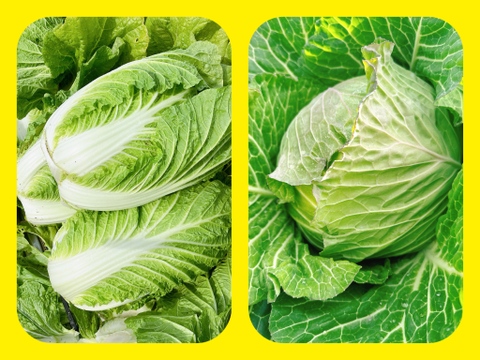 白菜とキャベツのコラボセット‼️